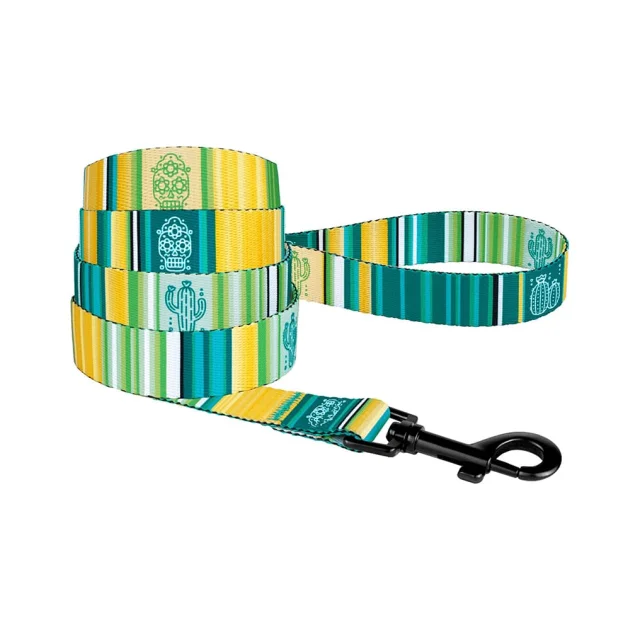 Поводок BronzeDog Urban West для собак, салатовый, 152×1.6 см