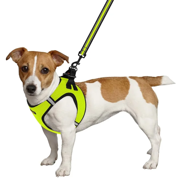 Шлея BronzeDog Mesh Vest для собак, сетчатый нейлон, лимонный, 26-29 см