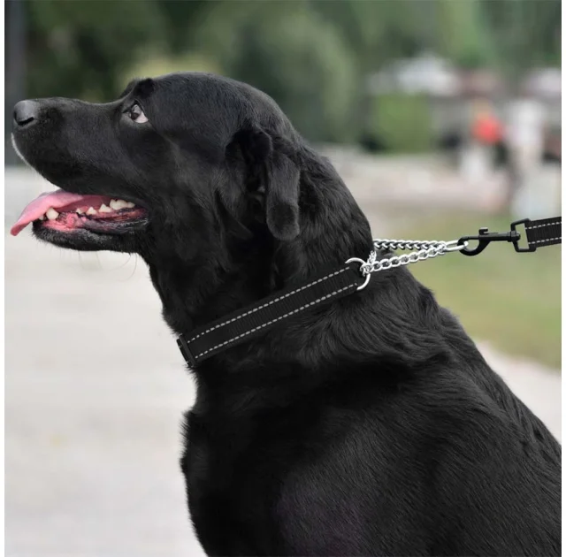 Ошейник-полуудавка BronzeDog, для собак, нейлоновый, фастекс, светоотражающий, чёрный, 35-43×2 см