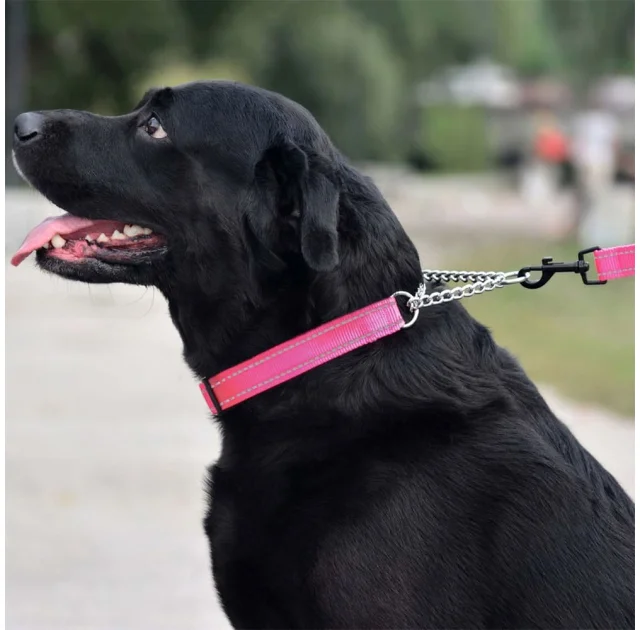 Ошейник-полуудавка BronzeDog, для собак, нейлоновый, фастекс, светоотражающий, розовый, 30-38×1.6 см