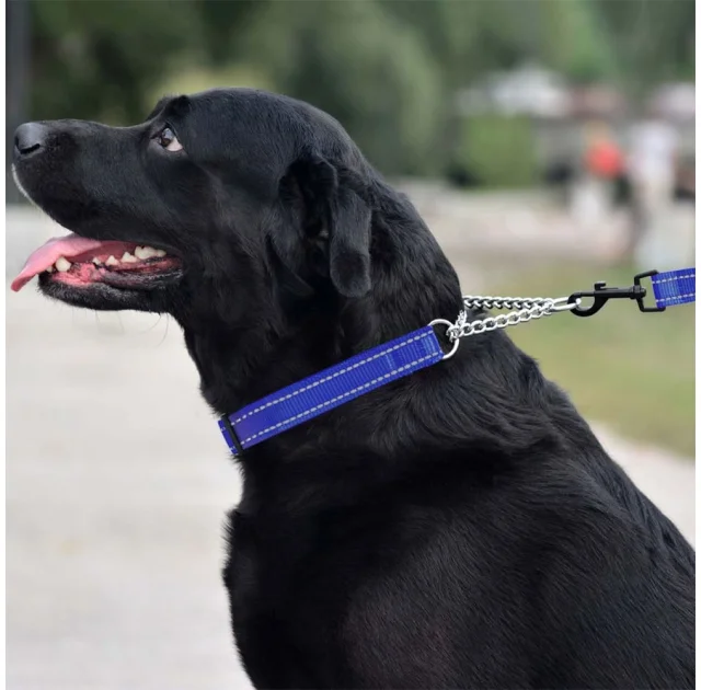 Ошейник-полуудавка BronzeDog, для собак, нейлоновый, фастекс, светоотражающий, синий, 41-55×2.5 см