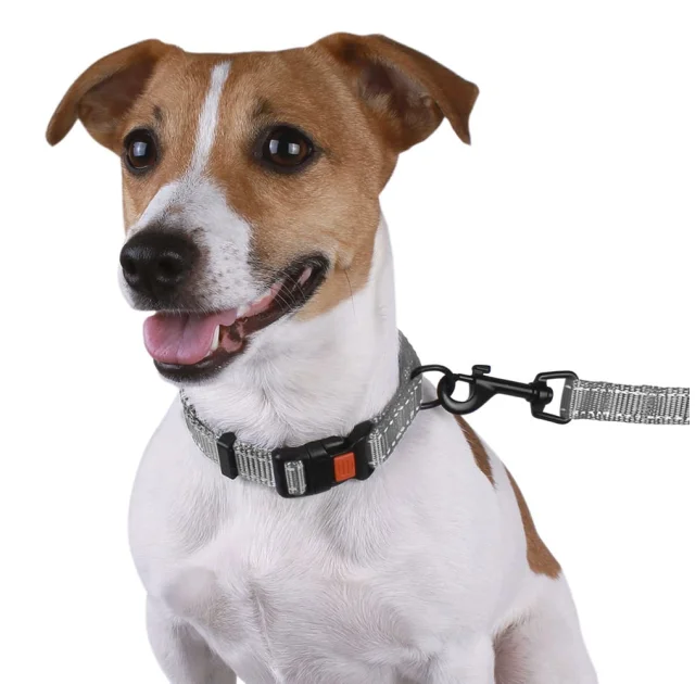 Нашийник BronzeDog Active, для собак, нейлоновий, фастекс пластик, сірий, 25-33×1.6 см