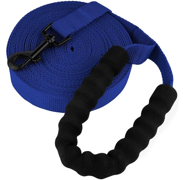 Поводок BronzeDog Active для собак, нейлоновый с мягкой ручкой, синий, 6 м×2.5 см