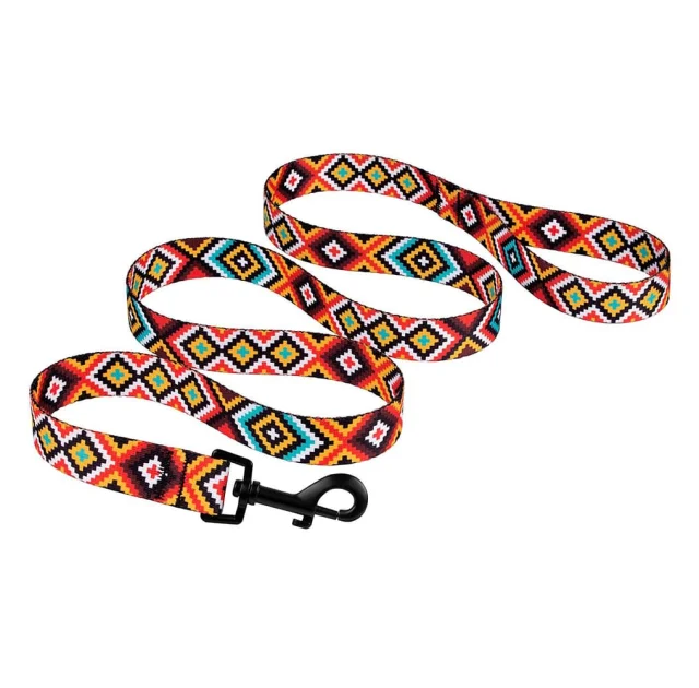 Поводок BronzeDog Tribal для собак, нейлон, принт гуцульский, оранжевый, 152×2 см