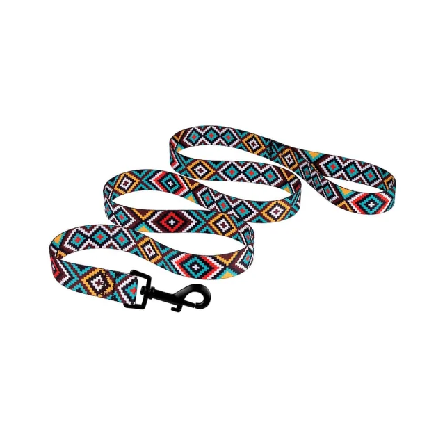 Повідець BronzeDog Tribal для собак, нейлон, принт гуцульський, ментоловий, 152×1.6 см