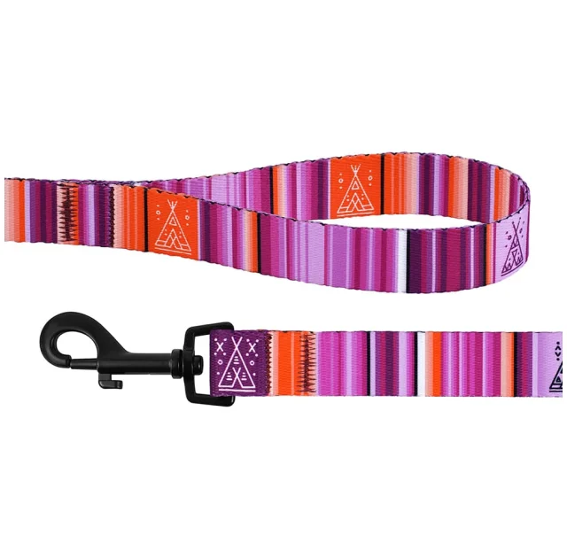 Поводок BronzeDog Urban West для собак, фиолетовый, 152×1.6 см