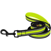 Повідець BronzeDog Mesh для собак, сітчастий нейлон, лимон, 200×1.6 см
