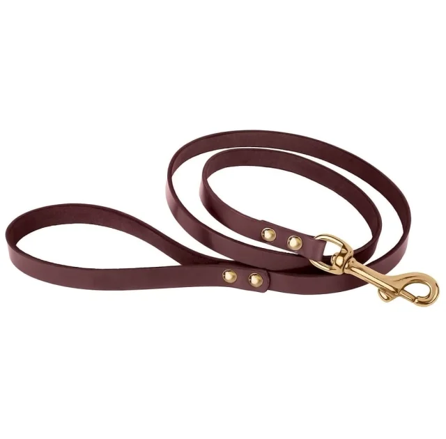 Поводок BronzeDog для собак, кожаный, литая латунная фурнитура, коричневый, 122×1.6 см
