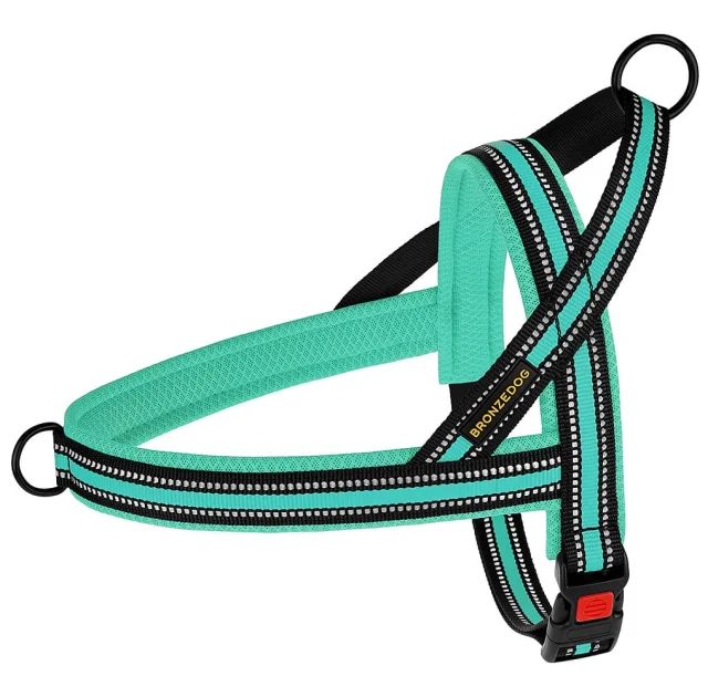 Шлея BronzeDog Mesh Скандинавська для собак, ментоловий, 32-38 см