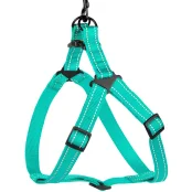 Шлея BronzeDog Active для собак, світловідбиваючий нейлон, ментоловий, 40-53 см