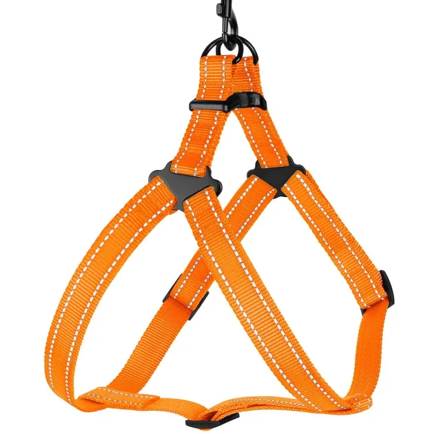 Шлея BronzeDog Active для собак, світловідбиваючий нейлон, помаранчевий, 45-60 см