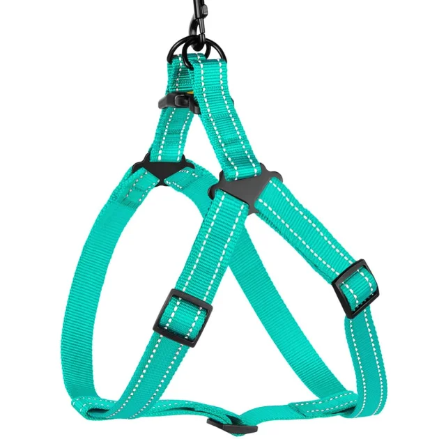 Шлея BronzeDog Active для собак, світловідбиваючий нейлон, ментоловий, 57-73 см
