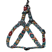 Шлея BronzeDog Tribal для собак, нейлон, принт гуцульський, ментоловий, 45-60 см