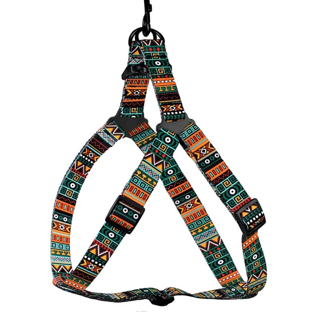 Шлея BronzeDog Tribal для собак, нейлон, принт етнічний, ментоловий, 57-73 см