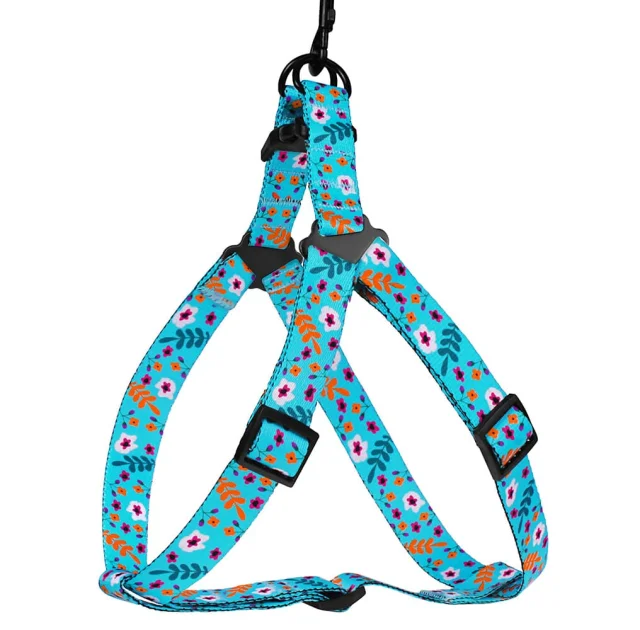 Шлея BronzeDog Tribal для собак, нейлон, принт квіти, ментоловий, 57-73 см