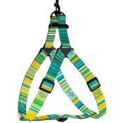 Шлея BronzeDog Urban West для собак, нейлон, салатовий, 57-73 см