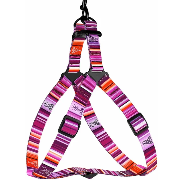 Шлея BronzeDog Urban West для собак, нейлон, фіолетовий, 40-53 см