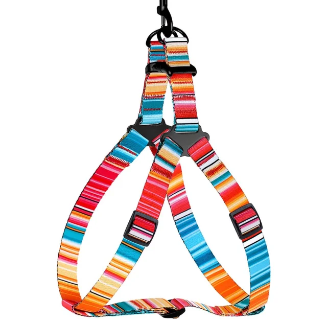 Шлея BronzeDog Urban West для собак, нейлон, червоний, 57-73 см