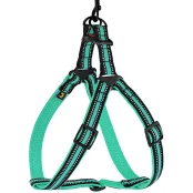 Шлея BronzeDog Mesh Стандарт для собак, сітчастий нейлон, ментоловий, 45-60 см