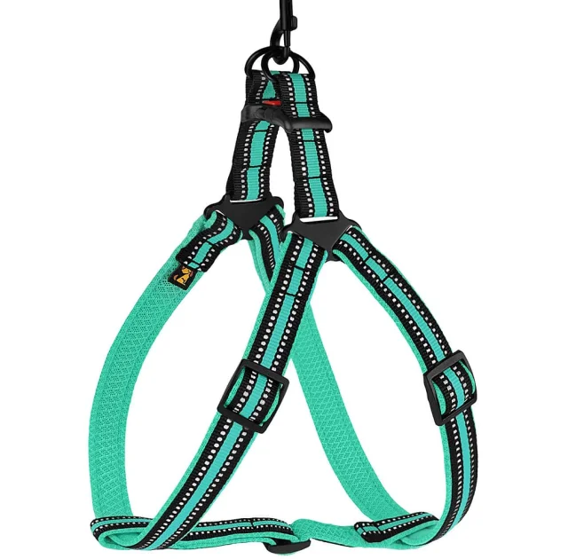 Шлея BronzeDog Mesh Стандарт для собак, сітчастий нейлон, ментоловий, 57-73 см