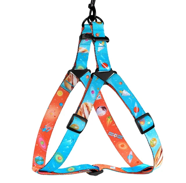Шлея BronzeDog для собак, нейлон, принт космос, блакитний, 40-53 см
