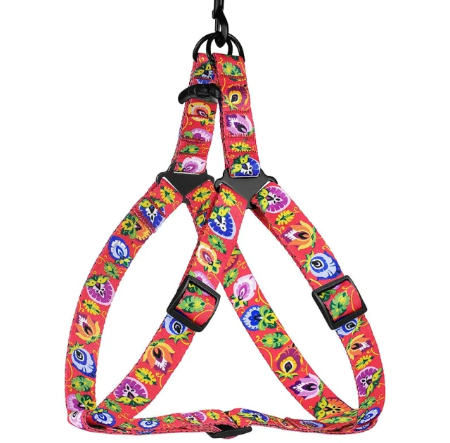 Шлея BronzeDog Folk для собак, нейлон з нашивкою, принт квіти, кораловий, 58-71 см