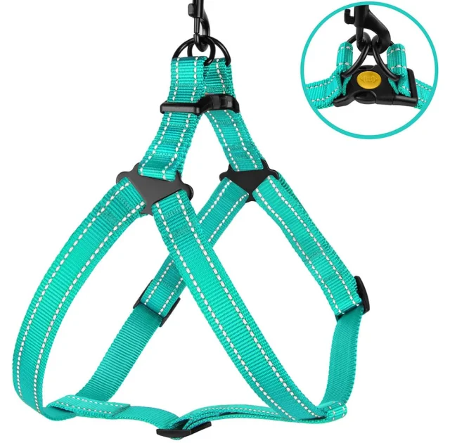 Шлея BronzeDog Active для собак, світловідбиваючий нейлон, бірюзовий, 57-73 см