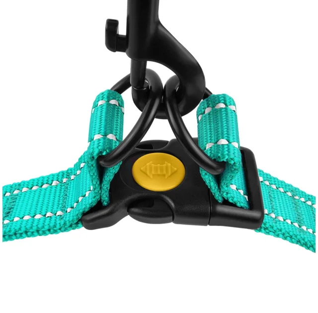 Шлея BronzeDog Active для собак, світловідбиваючий нейлон, ментоловий, 40-53 см