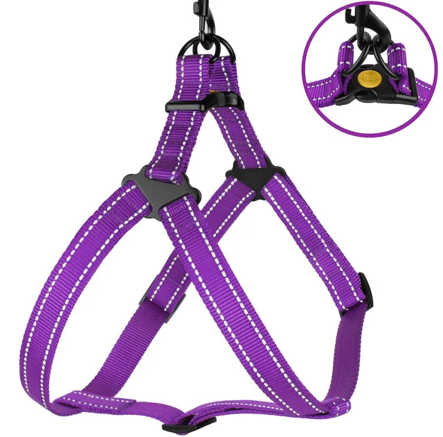 Шлея BronzeDog Active для собак, світловідбиваючий нейлон, фіолетовий, 45-60 см