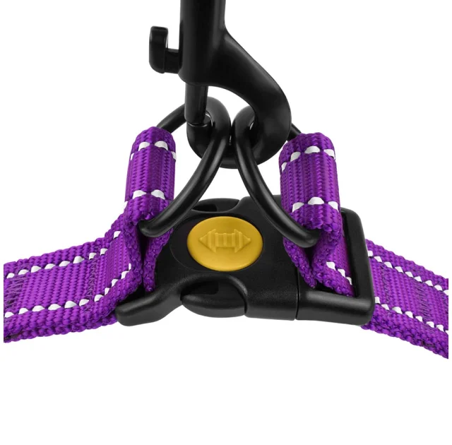 Шлея BronzeDog Active для собак, світловідбиваючий нейлон, фіолетовий, 45-60 см