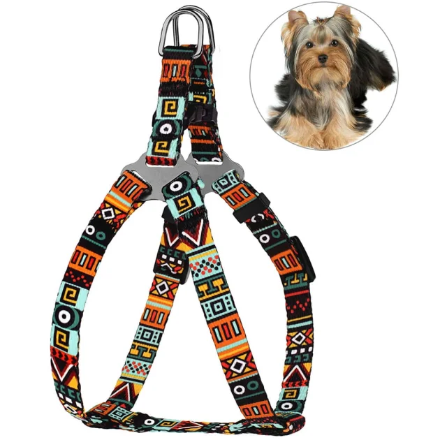 Шлея BronzeDog Tribal для собак, нейлон, принт етнічний, ментоловий, 28-40 см