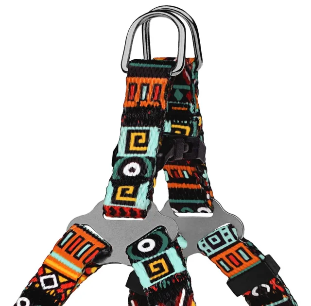 Шлея BronzeDog Tribal для собак, нейлон, принт етнічний, ментоловий, 28-40 см