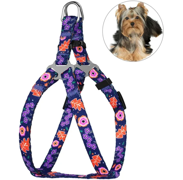 Шлея BronzeDog Tribal для собак, нейлон, принт квіти, синій, 40-53 см