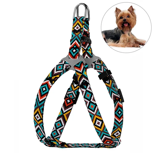 Шлея BronzeDog Urban для собак, нейлон, принт гуцульський, ментоловий, 24-30 см