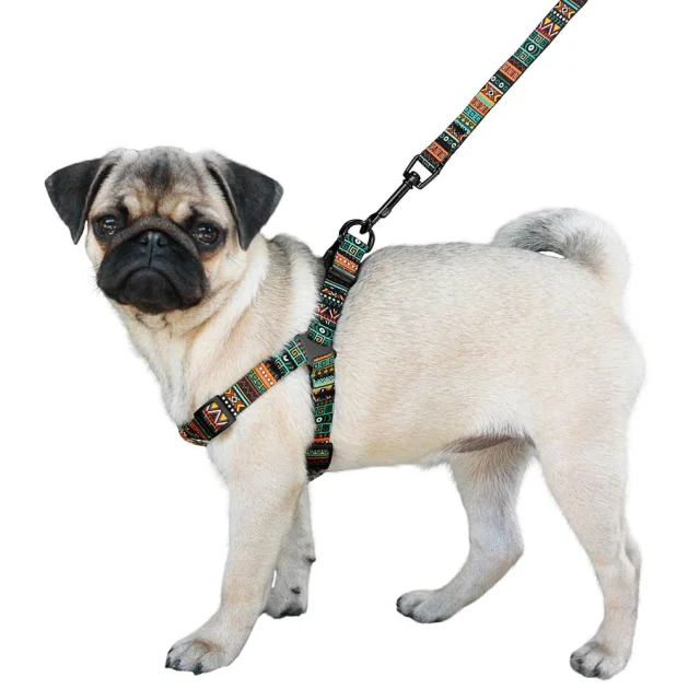Шлея BronzeDog Urban для собак, нейлон, принт етнічний, ментоловий, 24-30 см