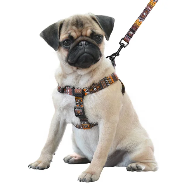 Шлея BronzeDog Urban для собак, нейлон, принт етнічний, помаранчевий, 24-30 см