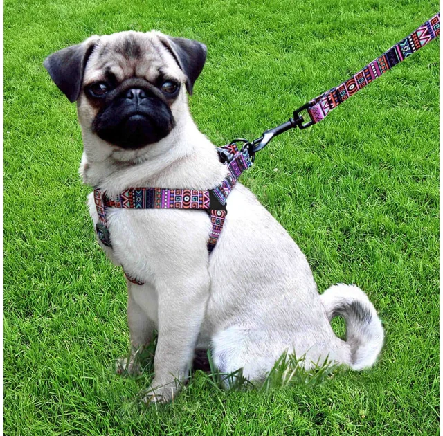 Шлея BronzeDog Urban для собак, нейлон, принт етнічний, фіолетовий, 24-30 см