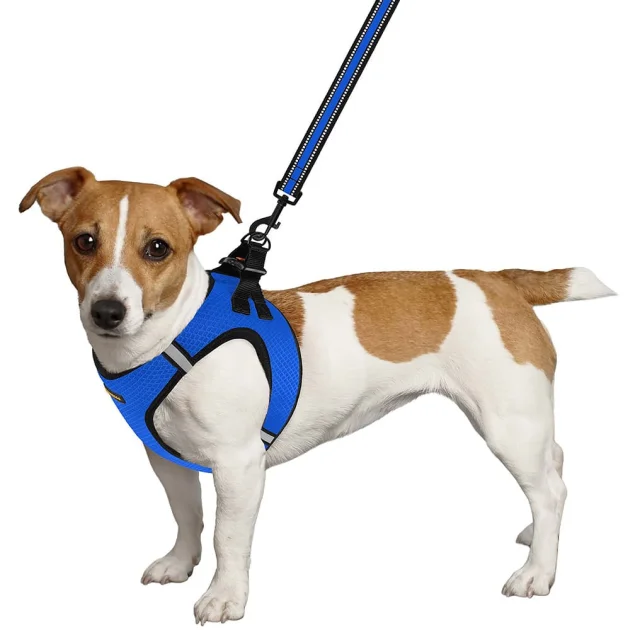 Шлея BronzeDog Mesh Vest для собак, сітчастий нейлон, синій, 26-29 см