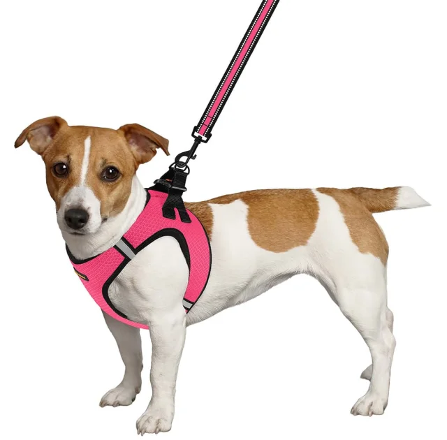 Шлея BronzeDog Mesh Vest для собак, сітчастий нейлон, рожевий, 24-26 см