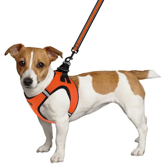 Шлея BronzeDog Mesh Vest для собак, сетчатый нейлон, оранжевый, 20-24 см