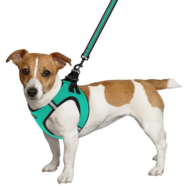 Шлея BronzeDog Mesh Vest для собак, сітчастий нейлон, ментоловий, 43-53 см