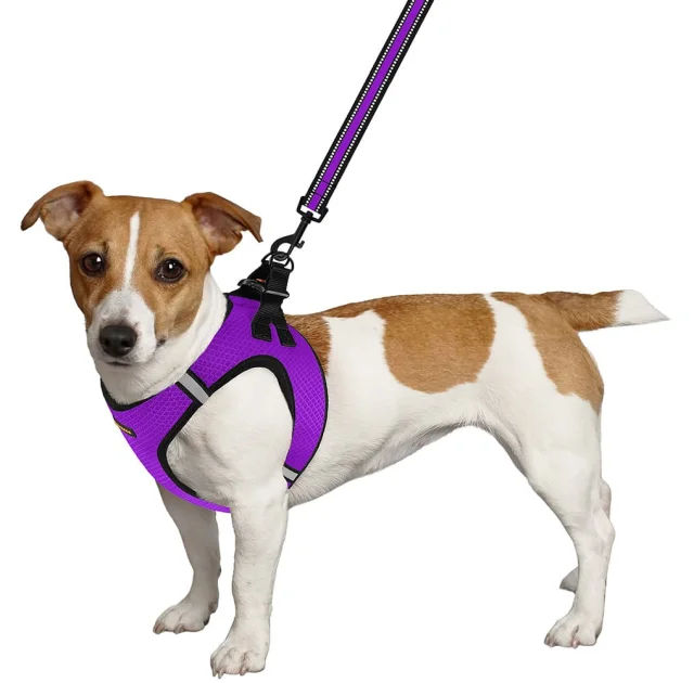 Шлея BronzeDog Mesh Vest для собак, сітчастий нейлон, фіолетовий, 34-42 см