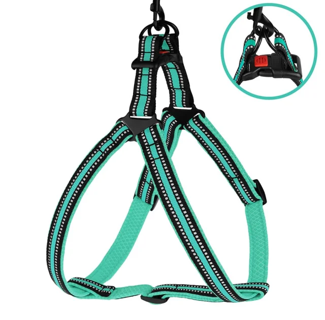 Шлея BronzeDog Mesh Стандарт для собак, сітчастий нейлон, ментоловий, 45-60 см