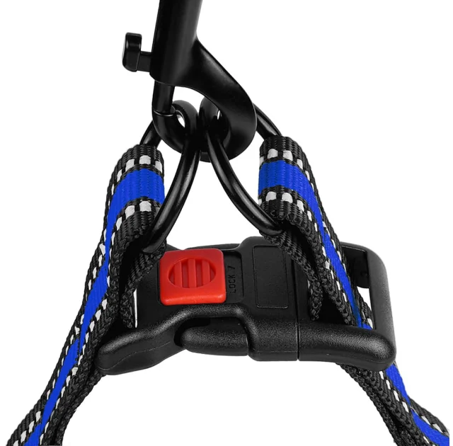 Шлея BronzeDog Mesh Стандарт для собак, сітчастий нейлон, синій, 45-60 см