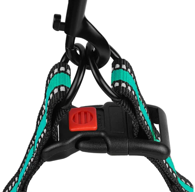 Шлея BronzeDog Mesh Стандарт для собак, сітчастий нейлон, ментоловий, 57-73 см