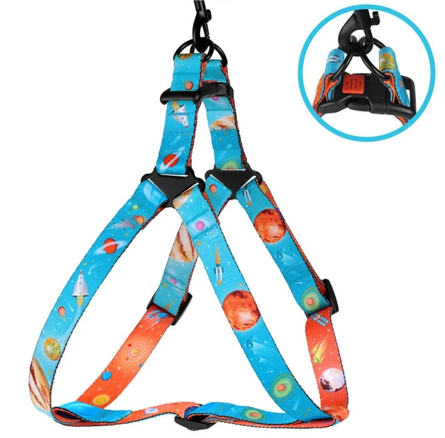 Шлея BronzeDog для собак, нейлон, принт космос, блакитний, 45-60 см