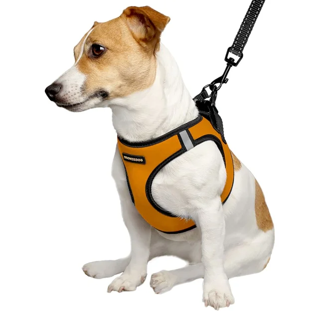 Шлея BronzeDog Sport Vest для собак з нейлону, неопрену і 3D сітки, помаранчевий, 34-42 см