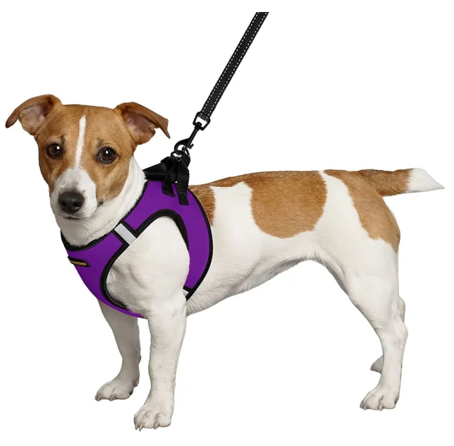 Шлея BronzeDog Sport Vest для собак з нейлону, неопрену і 3D сітки, фіолетовий, 34-42 см