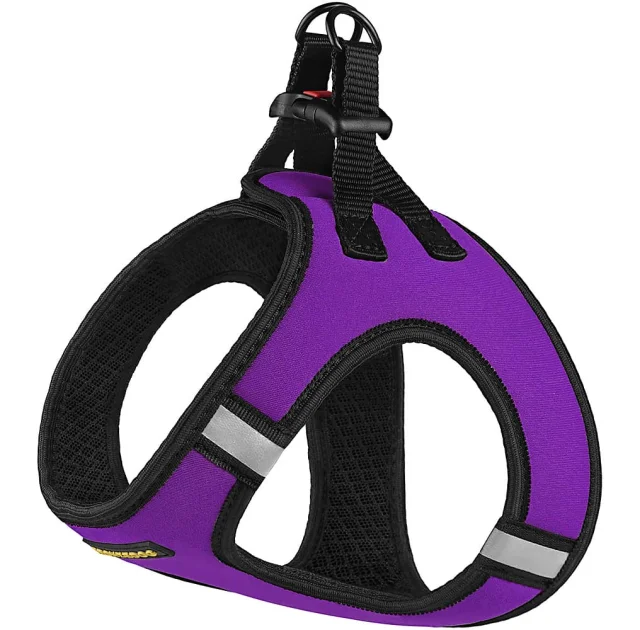 Шлея BronzeDog Sport Vest для собак з нейлону, неопрену і 3D сітки, фіолетовий, 29-34 см
