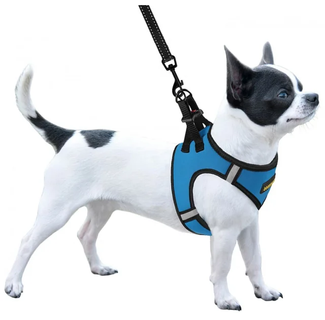 Шлея BronzeDog Sport Vest для собак з нейлону, неопрену і 3D сітки, блакитний, 26-29 см